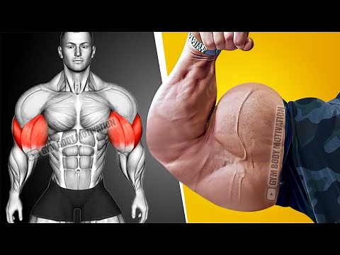 5 Most Powerful Exercises Will Explode Your Arms Muscle