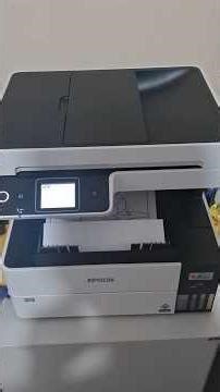 Impressora Epson L6490 Imprimindo Frente e Verso (10/12/2025)