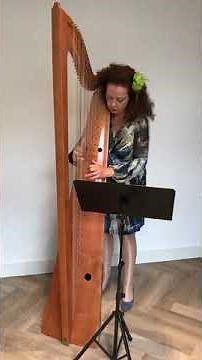 Welsh traditional - The Bells of Aberdovey on triple harp