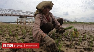 Bank Dunia: Apa untung-rugi Indonesia naik kelas jadi negara berpenghasilan menengah ke atas? - BBC News Indonesia