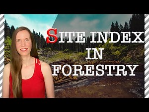 Site Index in FORESTRY: 4 Things You Must Know