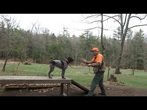 Training Steadiness with Jason Carter Part 1