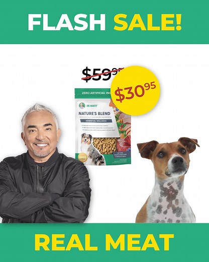 What makes Dr. Marty®'s Nature's Blend so irresistibly-good? 🦴 Premium meats, veggies, fruit & seeds 😋 Made from human-grade ingredients 🐾 ZERO artificial ingredients 🧊 Gently freeze-dried for maximum nutrition ✨ Easy to store and serve - No Mess! ✅ Developed by a board-certified veterinarian 📦 FREE Shipping - Delivered to your door 💗 90-Day 100% Money Back Guarantee Supports your dog's youthful energy, easy digestion, healthy teeth, skin, joints & coat! Save up to 53% OFF the retail price