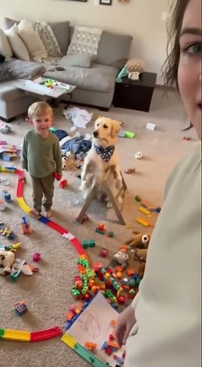Who Made This Mess? 😂 Dog & Kid Blame Game! 🐶👶
