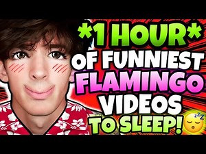 🌟1 HOUR🌟 Of Flamingo Roblox - Funniest Videos (Flamingo Marathon)