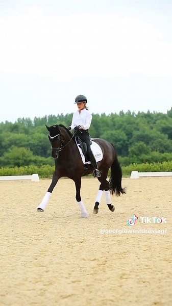 Georgiewestdressage on TikTok