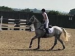 Horse galloping: An asymmetrical gait