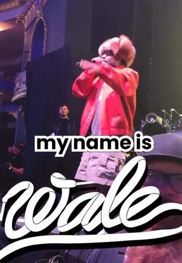 WALE @ WISCANSIN FEST 🔥 #wale #festival #rapper #hiphopmusic #liveperformance