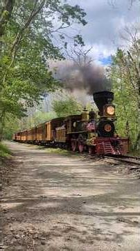 The Northern Central Railway's No.17 Goes through Glen Rock, Pennsylvania!#train #railtrail