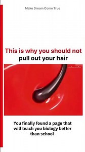 🧑‍🦲This is why 👌you should not 🩹 pull out your hair 🧠 | MDCT