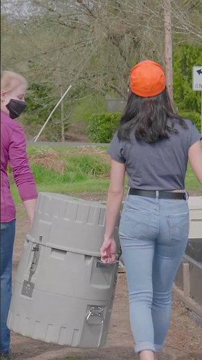 What do environmental engineers do?