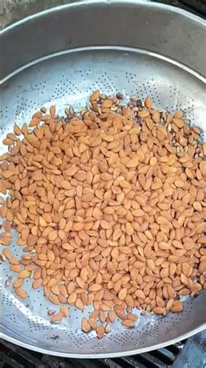 Adding Almonds for Garnish – Smooth Close-Up ASMR | Dessert Topping