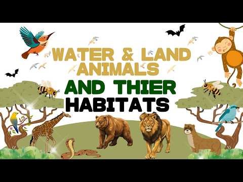 Animal Kingdom~ land and water animals easy learning.#animalsforkids #landanimal #wateranimals