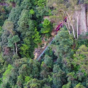 Unlimited rides on the Scenic Skyway, Cableway and world's steepest railway. Explore over 2kms of rainforest boardwalks. | Scenic World Blue Mountains
