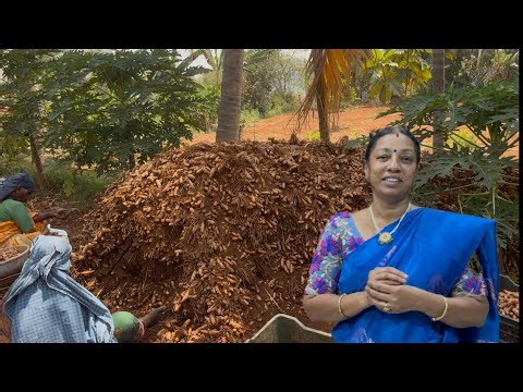 வேகமாக நடக்கும் மஞ்சள் வேலைகள்!!& சனியின் தாக்கம் குறைகிறது!!😄😄😄