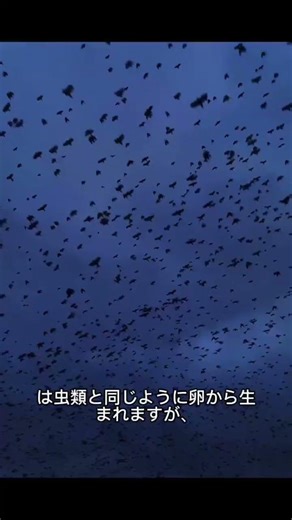 15日目 鳥類はどうやって進化した？