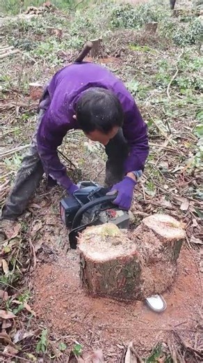 Revolutionize Logging: The Ultimate Lithium-Electric Saw for Easy Switch & Low Noise