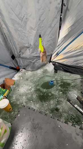 Full send for the last few hours just finally caught a burb | Chris Foster