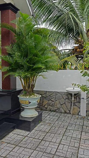 Nhà Sân Vườn Nghĩ Dưỡng: 463m2. 10.5 x 43 hậu nở 10.75m có 205m thổ cư. Lộ nhựa Vàm Bi 11.8m trên sổ thực tế 6m. Sau hậu sông mát mẻ, xây tường rào hết đất. Cách Chợ Trường Long 200m, Chợ Phong Điền 4.5km, Cách Trung Tâm TP Cần Thơ 20km. Thuộc Xã Trường Long TP Cần Thơ. Giá: 3tỷ5 (còn thương lượng). ☎️Liên hệ: 0901033334 (zalo) Độc Quyền. | Nguyễn Gia Hân