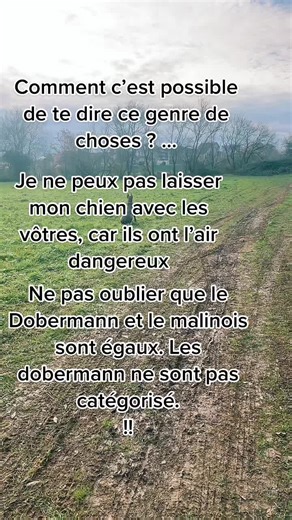 Maddy_saiko sur TikTok