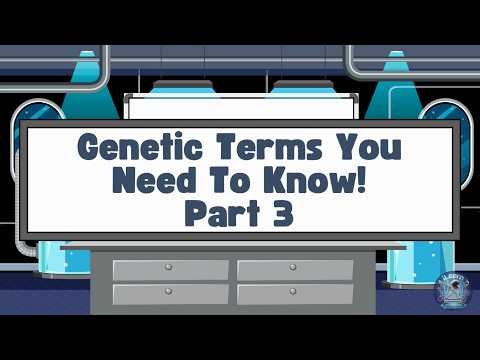 Genetic Terms You Need to Know Part 3