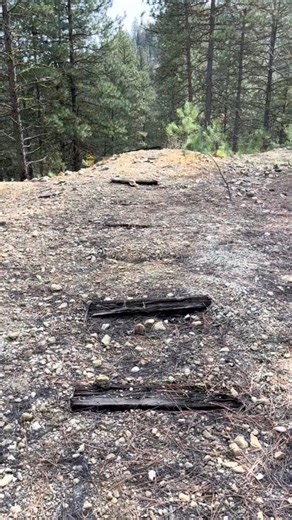 70K views · 648 reactions | This first adit portal was collapsed, but I found a way in further up! #pnw #offcourseexplorations #lostmine #history | The Official Off Course Explorations Page | Facebook