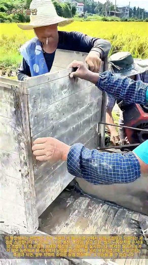 논에서 조립하는 구형 동력 탈곡기: 과거 농민들이 수작업으로 빈티지 탈곡기를 설치하던 방식. 옛 방식의 재현: 희귀한 단기통 벼 탈곡기 가동하기.