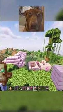 Vegeta remodelando casas y arboles #vegeta777 #minecraft #diosesmc #gaming