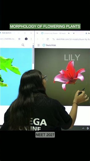 MORPHOLOGY OF FLOWERING PLANTS by SAUMYA MAM