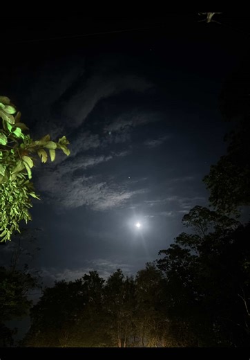 def got the dance right