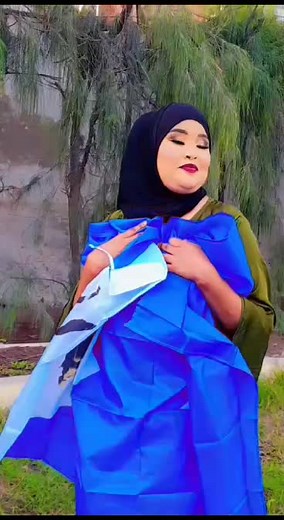 fahmo ileys على TikTok