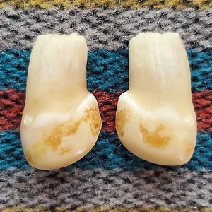 How to drill elk ivories and repair the root if needed.