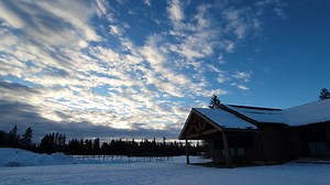 Bonus video coming tomorrow morning on YouTube at 8am pst! This one has been a long time in the making! | Good Simple Living