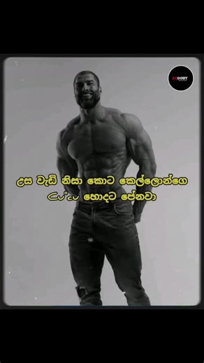 Kot kello wal ned ? #nishreels #chadpostsinhala #chad #followers #sinha #fypdong