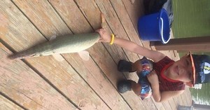 Nationwide service dog scam impacts CTX Family