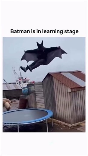 Batman training gone wrong 😭 (wait for it)#shorts#funny#memes#viral#fyp#foryou#foryoupage#trending
