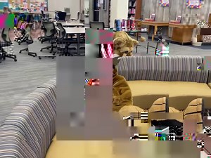 4.4K views · 53 reactions | Only 2 more weeks of Free Application Month! Apply today: https://www.columbusstate.edu/admissions/applications/ | Columbus State University | Facebook