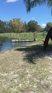 3.3K views | Animal Recovery Mission on Reels | Facebook