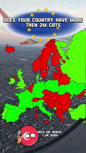 Cats #europe