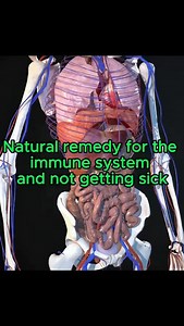 Powerful Natural Remedy to Boost Your Immune System Naturally Strengthen your immune system with this all-natural, powerful home remedy made from simple ingredients right in your kitchen. Packed with antioxidants, anti-inflammatory compounds, and natural healing properties, this immune-boosting drink helps fight colds, detox your body, and keep you feeling energized and strong all year long. Ingredients: 1 Red onion Cut pieces of fresh Ginger 1 Lemon (sliced) 3 cloves of Garlic 1 teaspoon of Tur