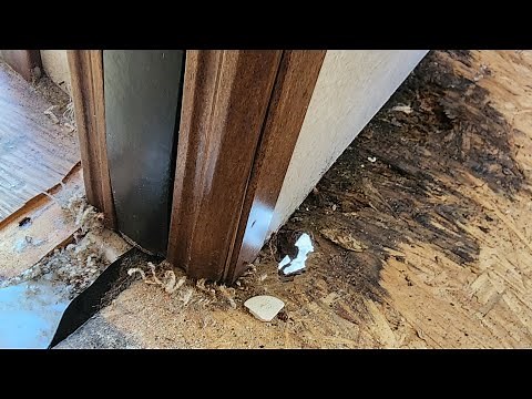 RV Repair- How to brace a slide room to change a slide floor #rvrepair #rvlife