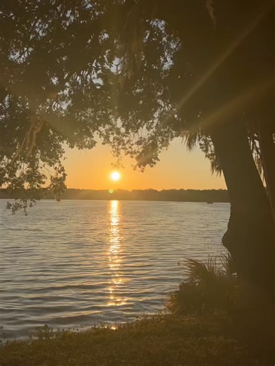 Thanks for a great first semester Mocs! See you all in the new year