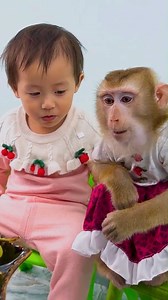 19K views · 551 reactions | Monkey Kaka saves the day by reminding Diem to put the phone away before mom comes! #Kakavideo | Kaka Video | Facebook