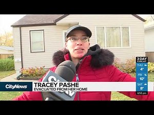 Arcing power line lights up Winnipeg sky
