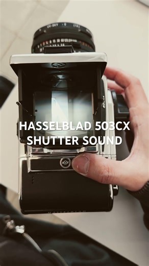 The most satisfying shutter sound in the world | Hasselblad 503CX ☕️ #filmphotography #analogvibes