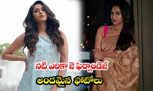 Actress Erica J Fernandes Beautiful Photos-నటి ఎరికా జె ఫెర్నాండెజ్ అందమైన ఫోటోలు