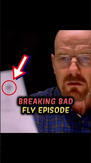 Breaking Bad Fly Episode 🦟