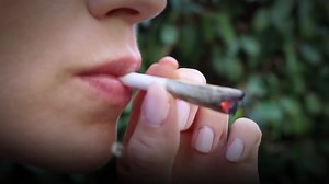 What is synthetic marijuana?