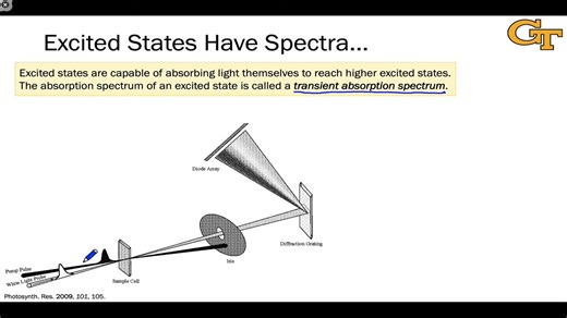 6.4 瞬态吸收光谱 Transient Absorption Spectroscopy
