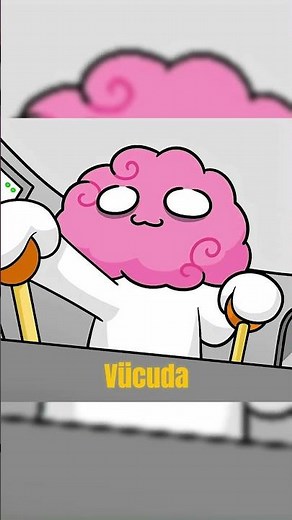 HOW DO ORGANS IN THE HUMAN BODY WORK? #animation #shorts